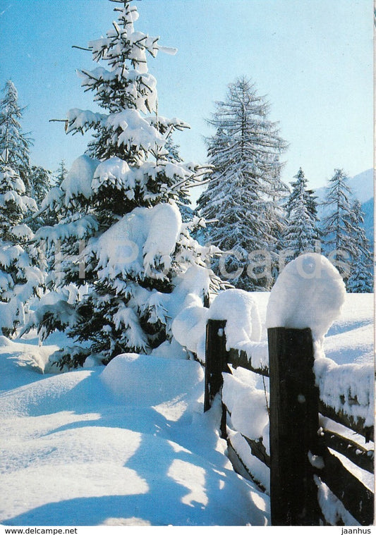 Winterschonheit - winter - 1996 - Switzerland - used - JH Postcards