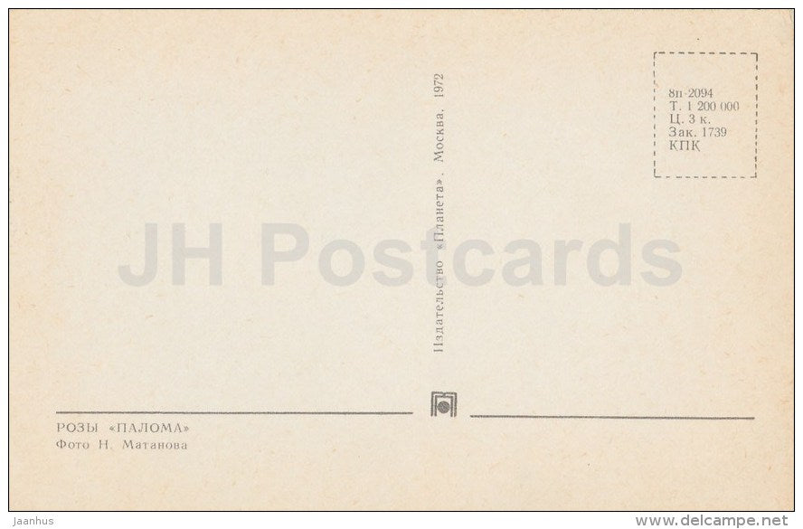 rose Paloma - flowers - 1972 - Russia USSR - unused - JH Postcards