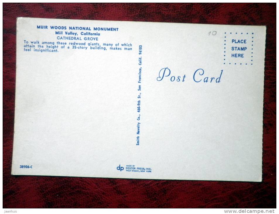 Muir Woods National Monument - Cathedral Grove - Mill Valley - California - USA - unused (numbers written backside) - JH Postcards