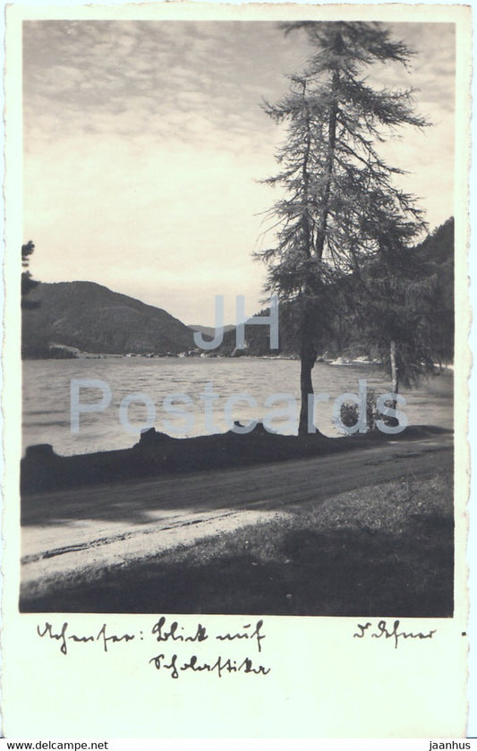 nature - EKA - old postcard - 1931 - Germany - used - JH Postcards