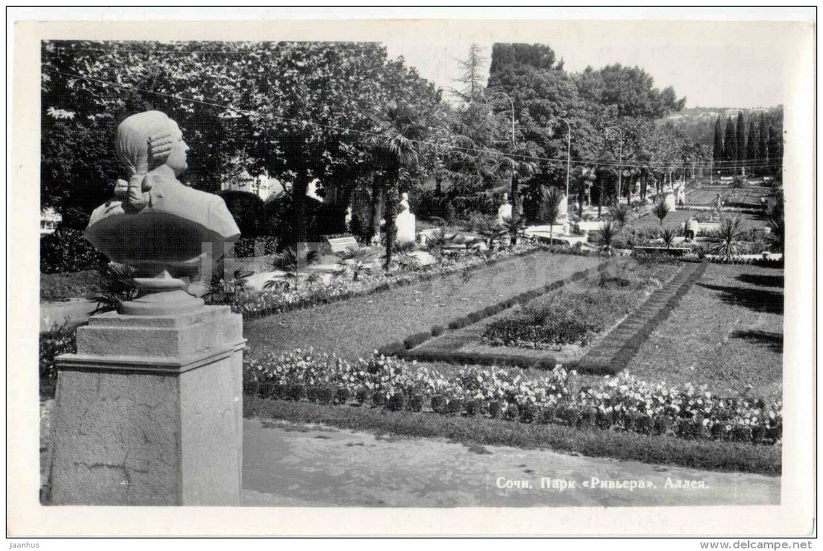Riviera Park - Alley - Sochi - photo card - 1960 - Russia USSR - unused - JH Postcards