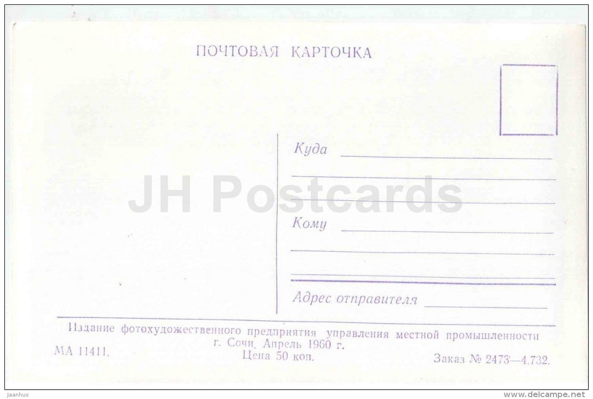 Riviera Park - Alley - Sochi - photo card - 1960 - Russia USSR - unused - JH Postcards