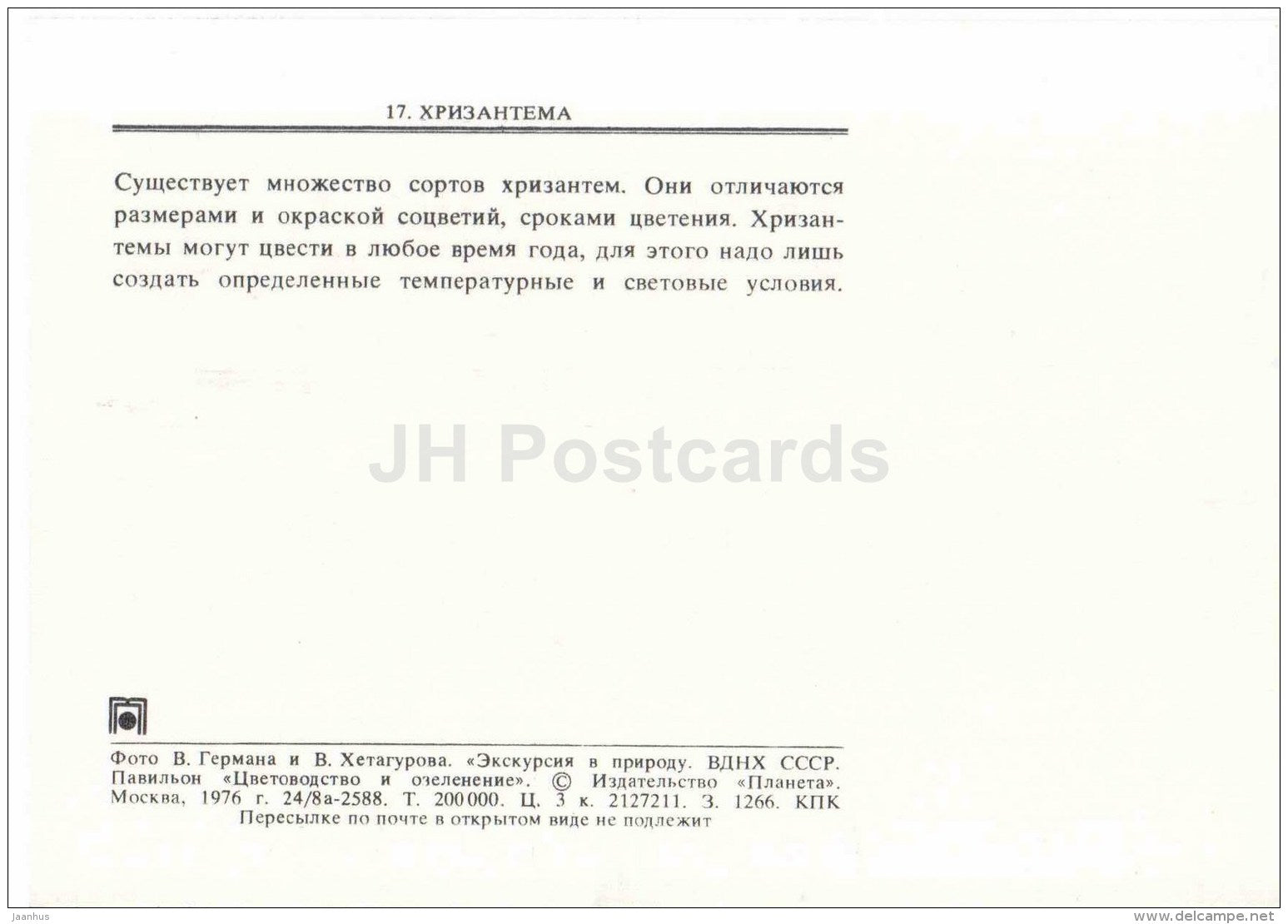 Chrysantemum - flowers - floriculture and gardening pavilion - 1976 - Russia USSR - unused - JH Postcards