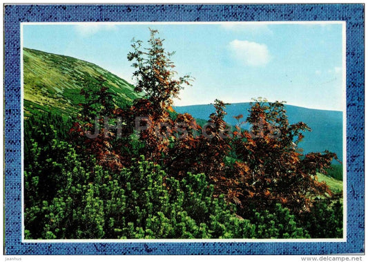 Autumn in the Giant Mountains - Krkonoše - Czech - Czechoslovakia - unused - JH Postcards