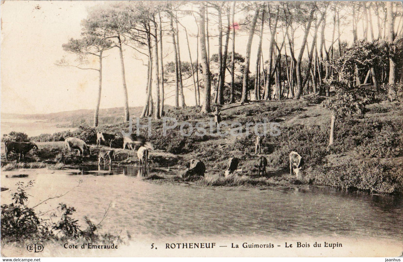 Rotheneuf - La Guimorais  - Le Bois du Lupin - Cote d'Emeraude - 5 - old postcard - 1920 - France - used - JH Postcards