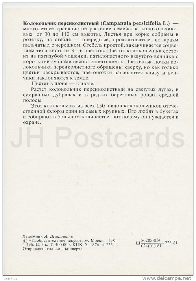 Wood Anemone - Campanula persicifolia - Plants under protection - 1981 - Russia USSR - unused - JH Postcards