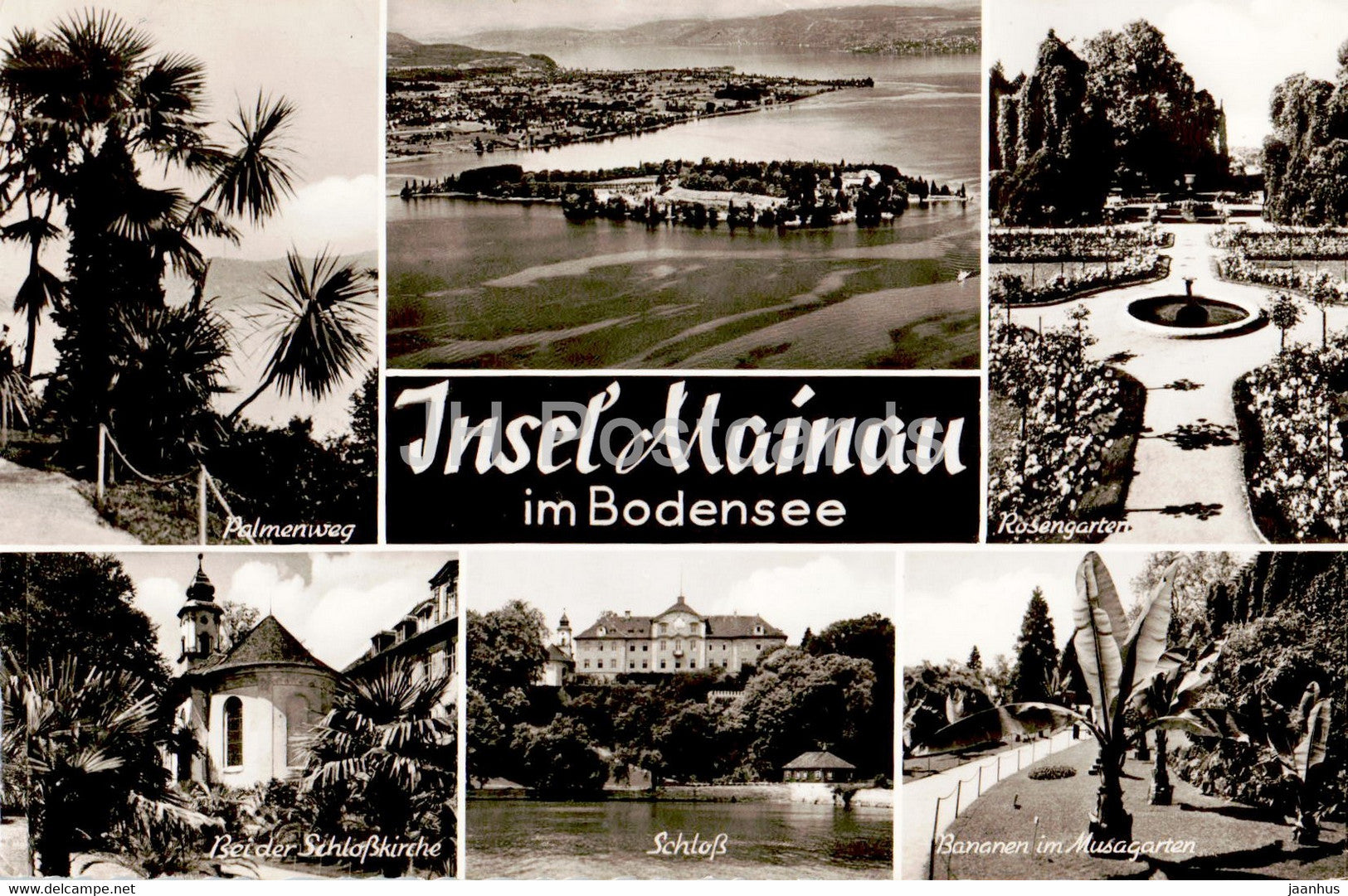 Insel Mainau im Bodensee - Palmenweg - Schloss - Rosengarten - old postcard - 1959 - Germany - used - JH Postcards