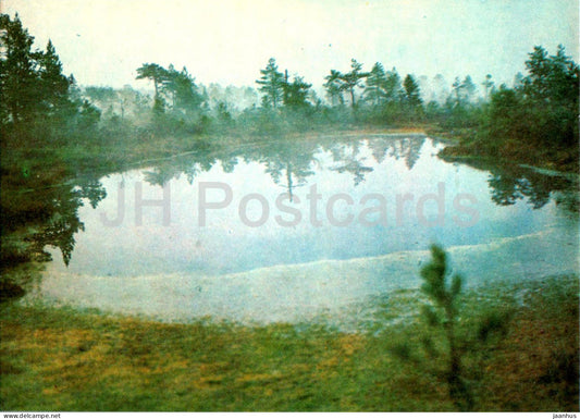 Lahemaa - The fog at Laukasoo - swamp - 1 - 1978 - Estonia USSR - unused - JH Postcards
