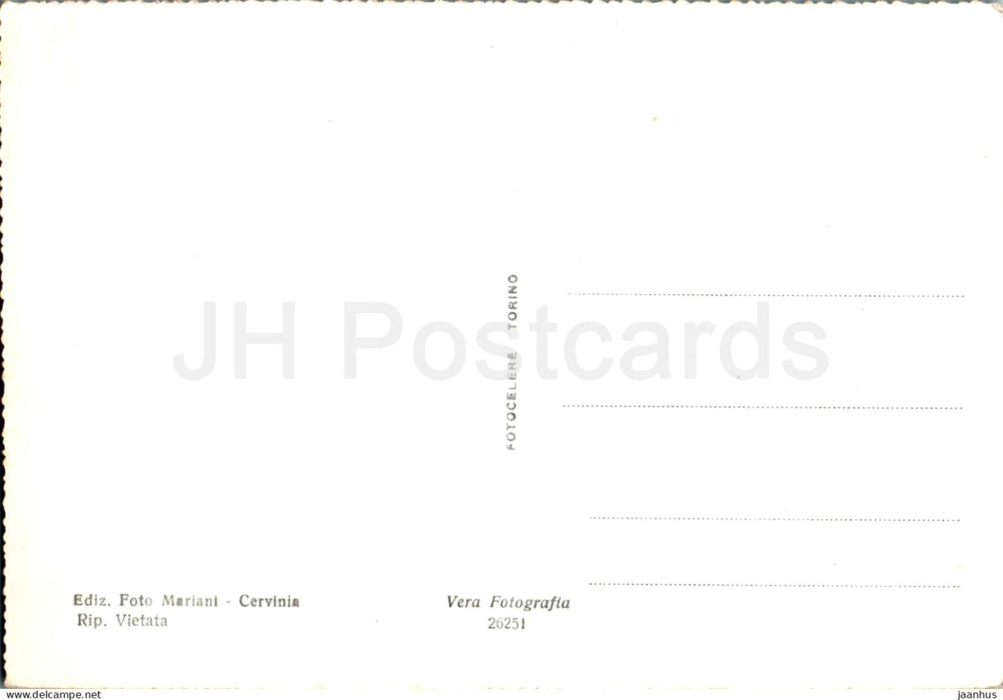 Cervinia - Breuil - Pascoli e fiori - animals - cow - 26251 - Italy - unused