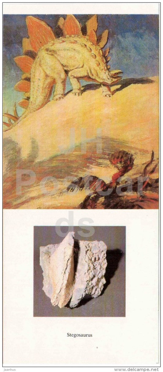 Stegosaurus - fossil - illustration by Flerov - paleontology - 1989 - Russia USSR - unused - JH Postcards