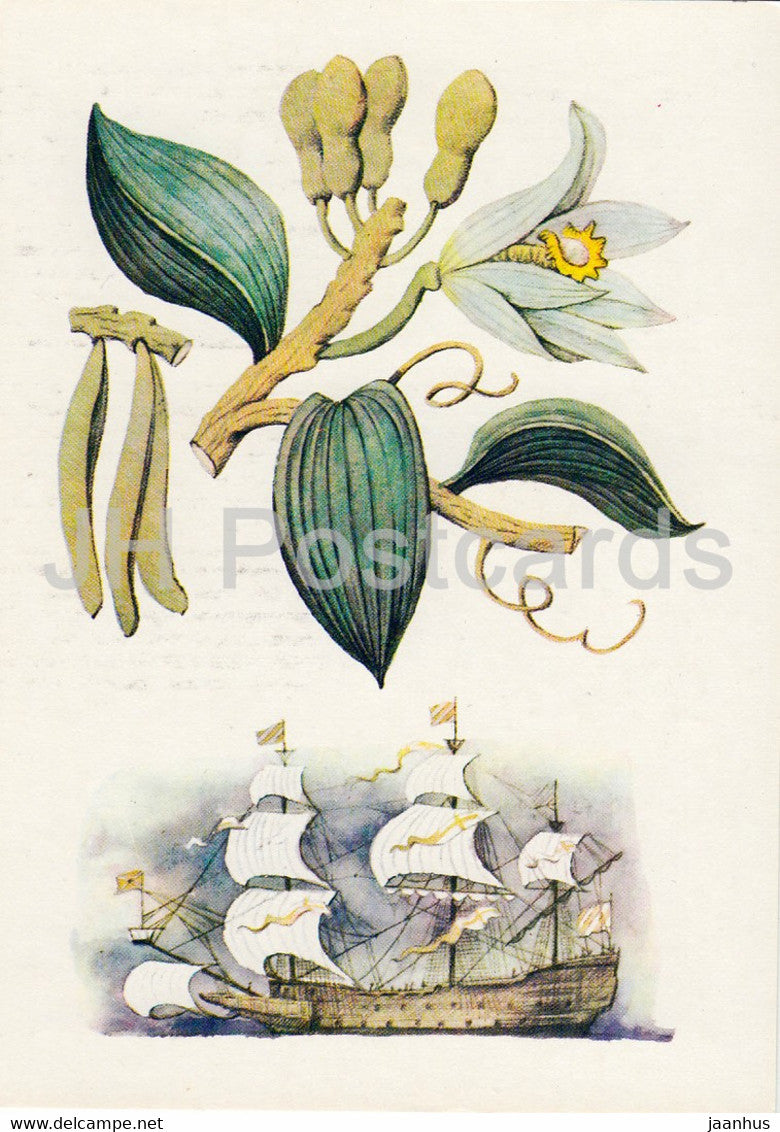 Vanilla - Spice Plants - 1986 - Russia USSR - unused - JH Postcards