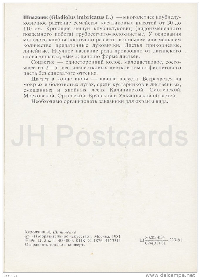 Turkish marsh gladiolus - Gladiolus imbricatus - Plants under protection - 1981 - Russia USSR - unused - JH Postcards