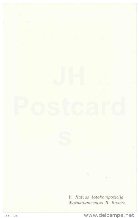 carnation - ikebana - flowers composition - 1981 - Latvia USSR - unused - JH Postcards