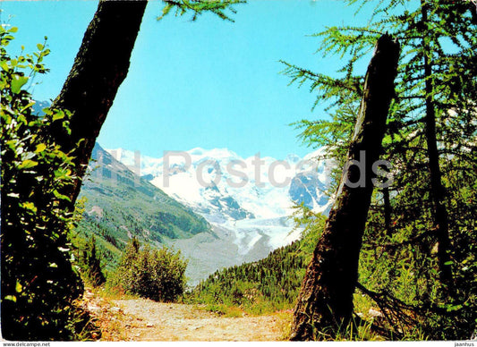 Hohenweg - Morteratschgletscher - 35/113 - 1968 - Switzerland - used - JH Postcards