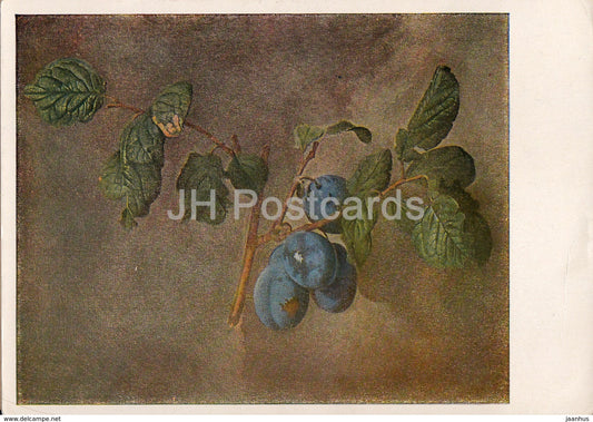 painting by J. Navratil - Plums - Czech art - Czecoslovakia Czech - unused - JH Postcards