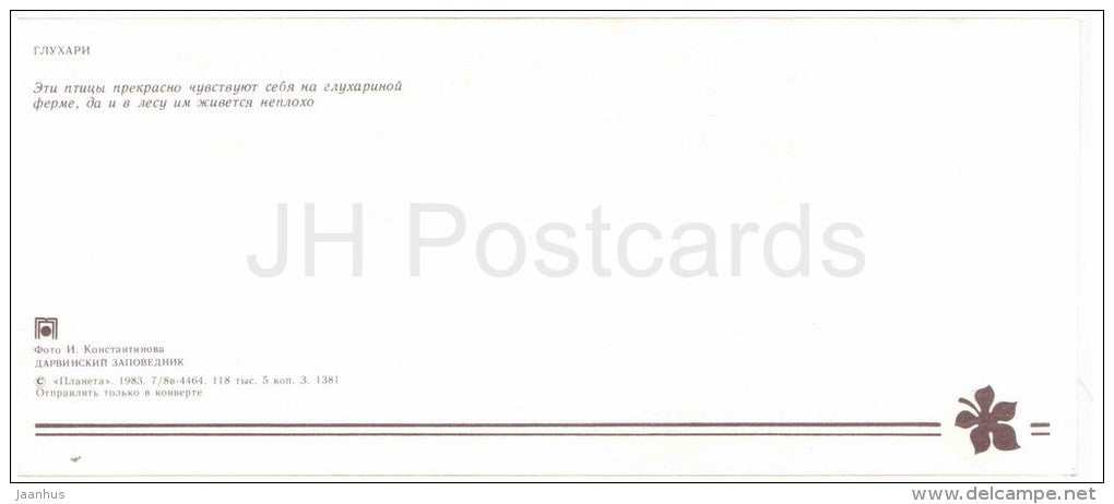 Western capercaillie , Tetrao urogallus - goose - birds - Darwin Nature Reserve - 1983 - Russia USSR - unused - JH Postcards