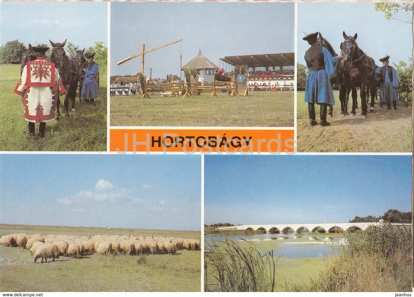 Hortobagy - horse - bridge - sheep - Hungary - unused - JH Postcards