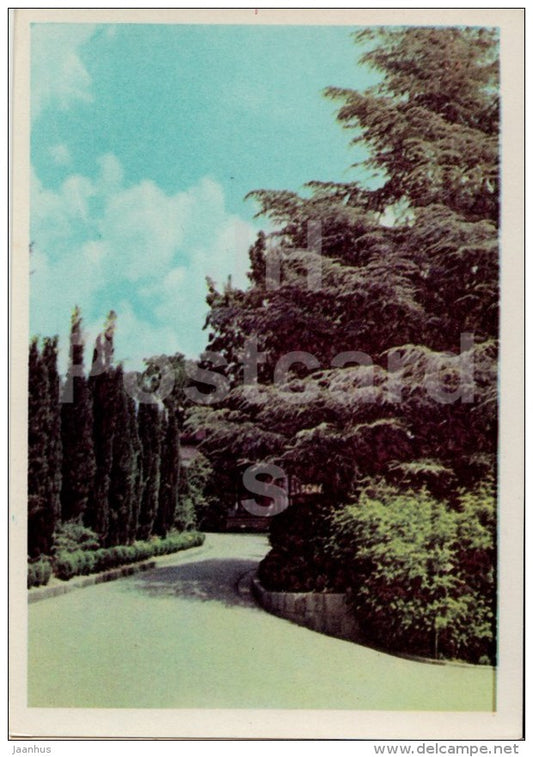 Lane in Livadia Park - Crimea - Ukraine USSR - unused - JH Postcards