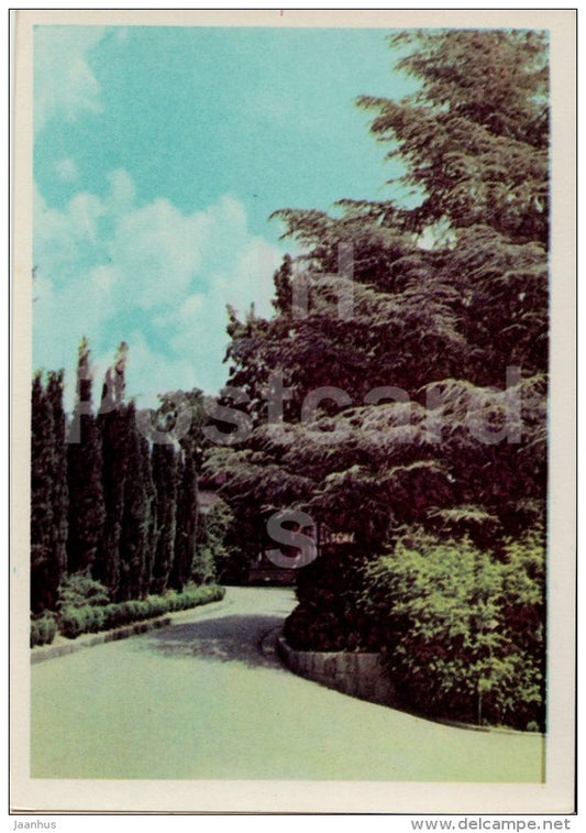 Lane in Livadia Park - Crimea - Ukraine USSR - unused - JH Postcards