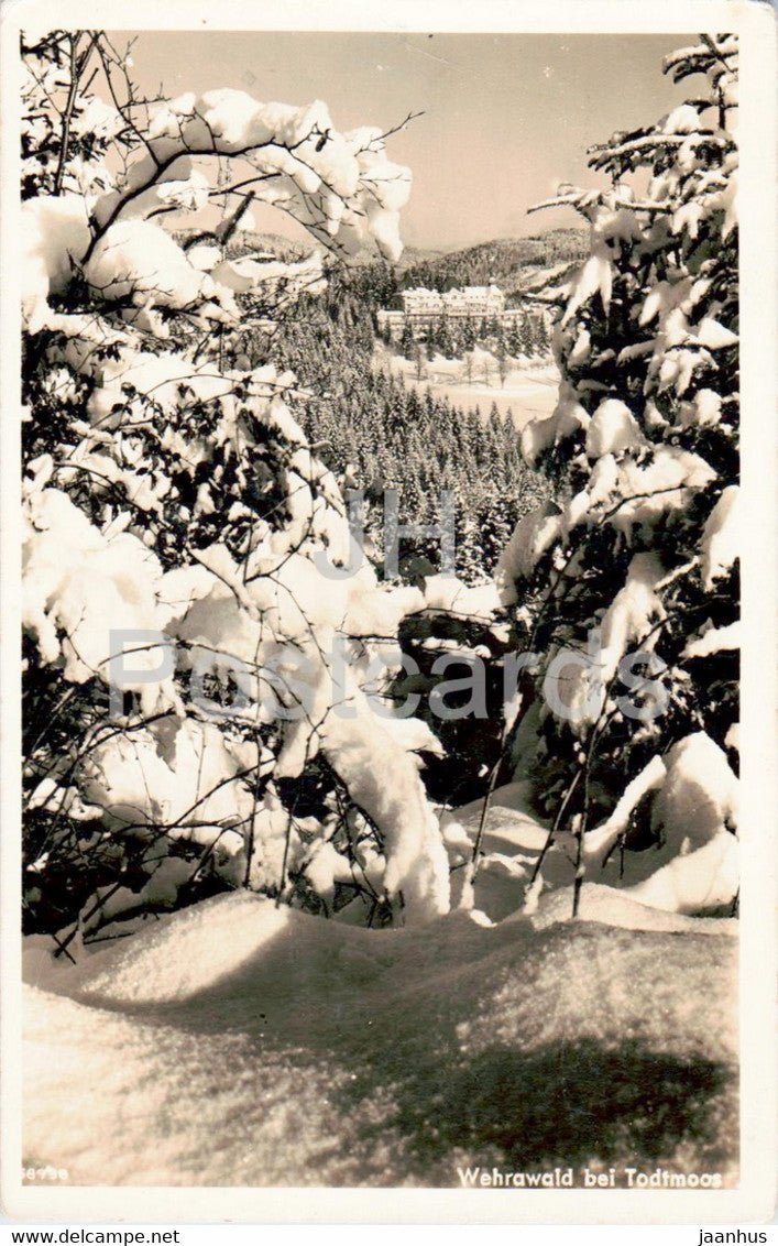 Wehrawald bei Todtmoos - old postcard - Germany - used - JH Postcards