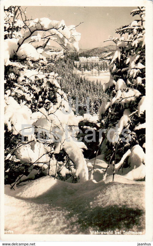 Wehrawald bei Todtmoos - old postcard - Germany - used - JH Postcards