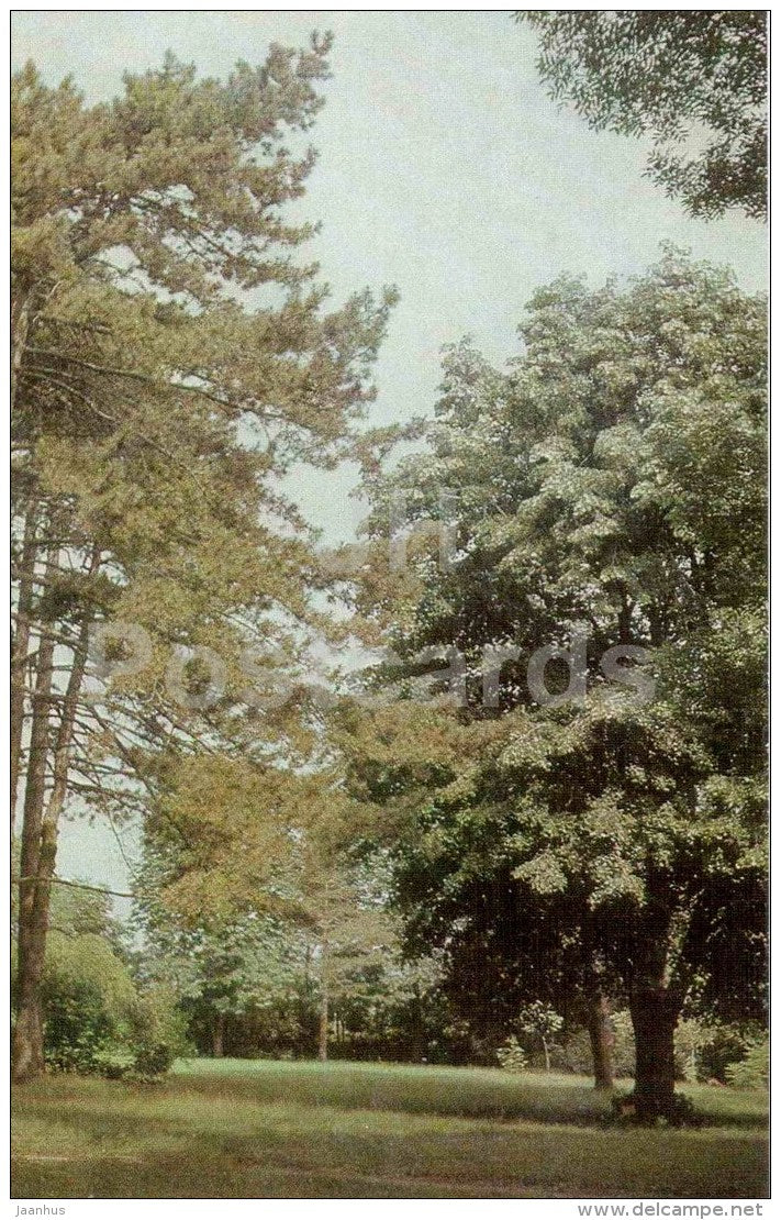 village of Tsaul - Views of Moldova - 1966 - Moldova USSR - unused - JH Postcards