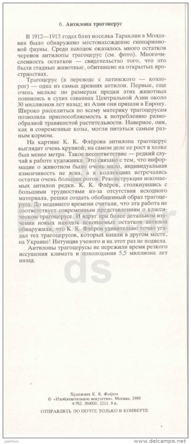 Tragocerus amaltheus - fossil - skull - illustration by Flerov - paleontology - 1989 - Russia USSR - unused - JH Postcards