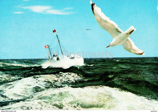 Vesterhavet - North Sea - seagull - birds - boat - 1974 - Denmark - used - JH Postcards