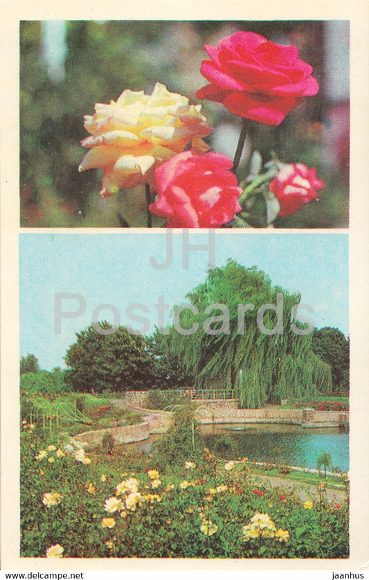 Central State Botanical Garden of Ukraine SSR - Rose Garden - flowers - 1978 - Ukraine USSR - unused - JH Postcards