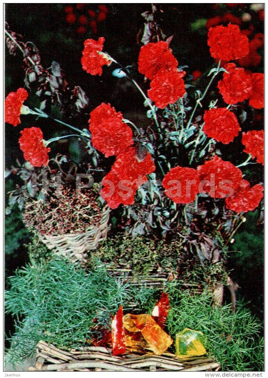 carnation - flowers - floriculture and gardening pavilion - 1976 - Russia USSR - unused - JH Postcards