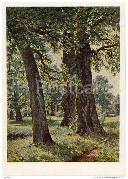 painting by I. Shihkin - Oak Trees - Russian art - 1950 - Russia USSR - unused - JH Postcards
