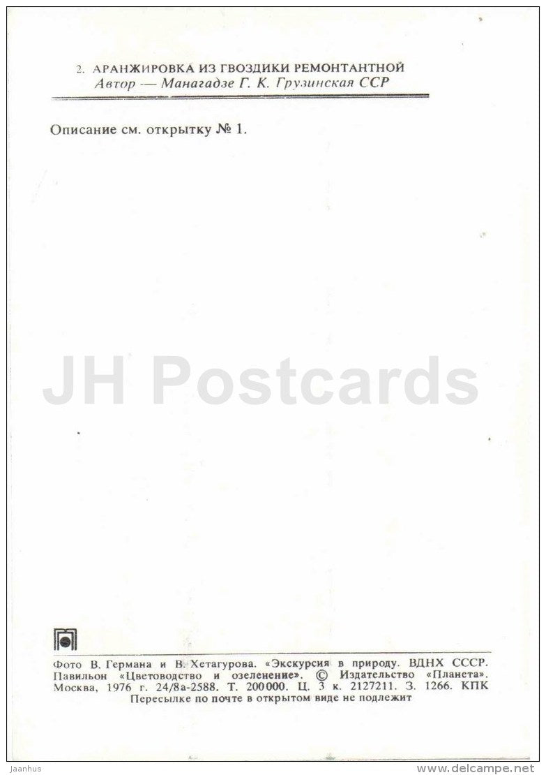 carnation - flowers - floriculture and gardening pavilion - 1976 - Russia USSR - unused - JH Postcards