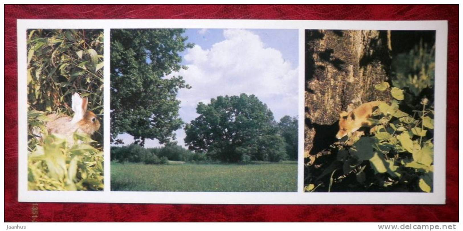 Matsalu National Park - forest on a summer day - fox - hare - 1983 - Estonia - USSR - unused - JH Postcards