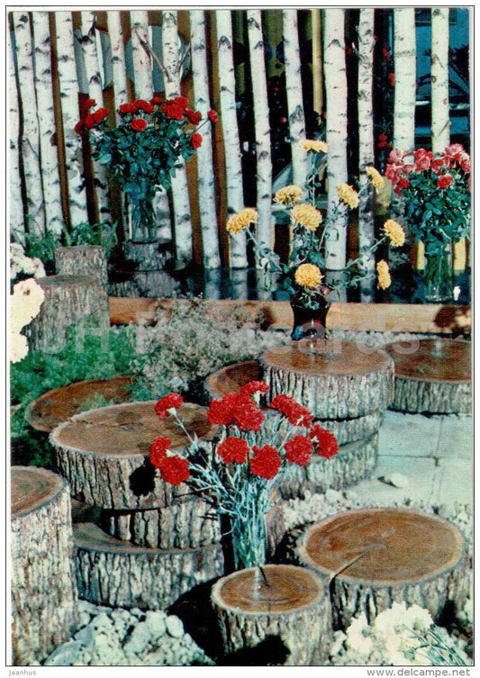 carnations - flowers - floriculture and gardening pavilion - 1976 - Russia USSR - unused - JH Postcards