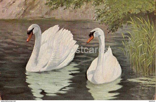Swan - birds - 954 - old postcard - used - JH Postcards