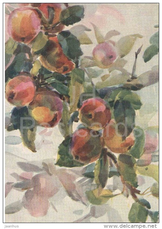 painting by Z. Bobkova - Apple tree branch - russian art  - unused - JH Postcards