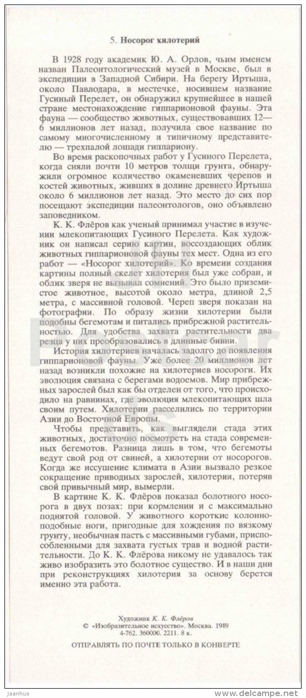 Chilotherium schlosseri - rhino - fossil - skull - illustration by Flerov - paleontology - 1989 - Russia USSR - unused - JH Postcards