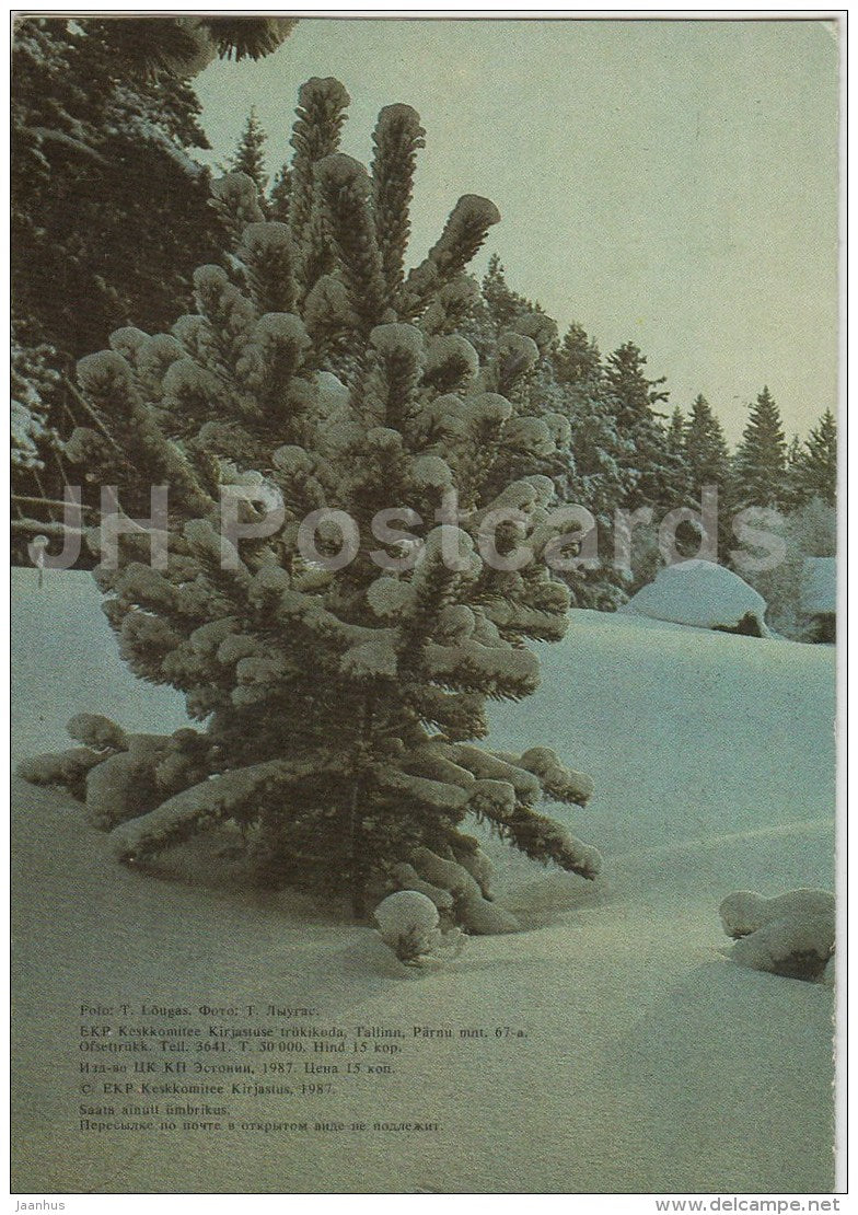 New Year Greeting Card - winter view - 1987 - Estonia USSR - used - JH Postcards