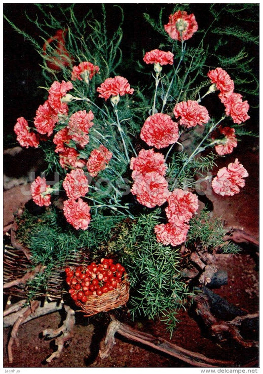 carnations composition - flowers - floriculture and gardening pavilion - 1976 - Russia USSR - unused - JH Postcards