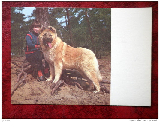 Caucasian Shepherd Dog - dogs - 1987 - Estonia - USSR - used - JH Postcards