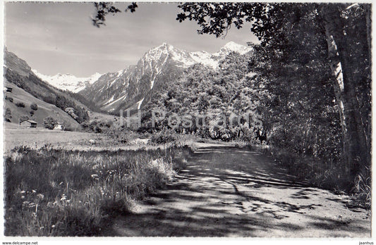 Klosters (Graubunden) 1250 m - Diethelmpromenade mit Silvrettagruppe - 58 - Switzerland - old postcards - unused - JH Postcards