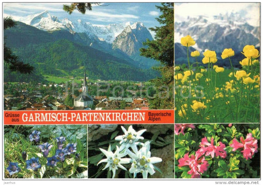 Grüsse aus Garmisch-Partenkirchen - Bayerische Alpen - mountain - flowers - 8101 - Germany - 1998 gelaufen - JH Postcards