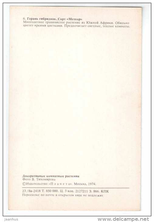 Meteor - Geranium hybride - Decorative House Plants - flowers - 1974 - Russia USSR - unused - JH Postcards