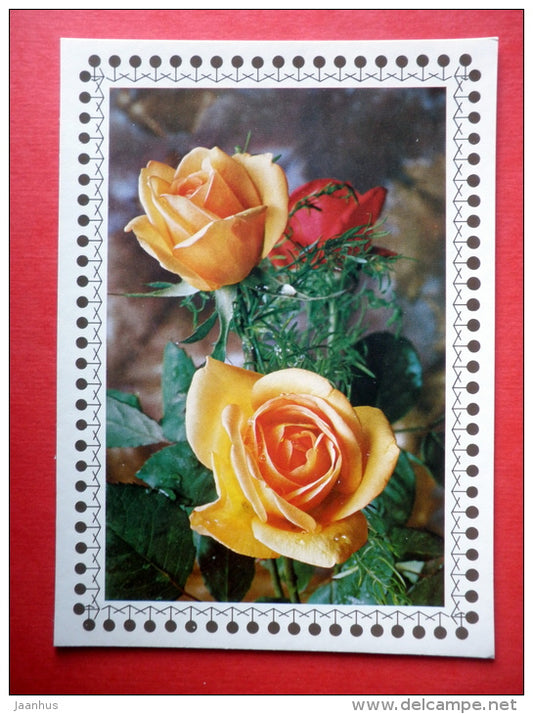 yellow and red roses 1 - flowers - Czechoslovakia - unused - JH Postcards