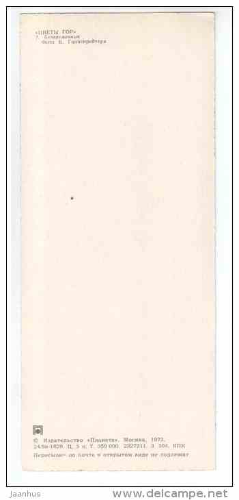 Crocus - Mountain Flowers - 1973 - Russia USSR - unused - JH Postcards