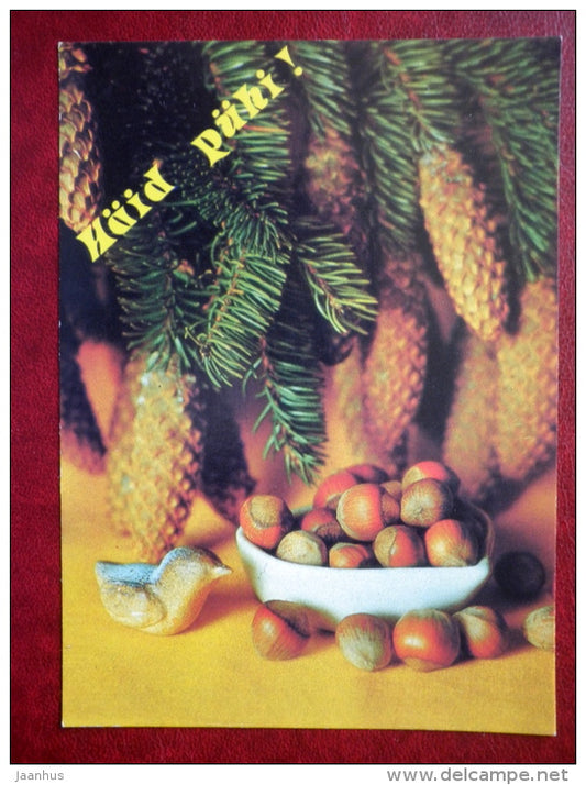 New Year Greeting card - cones - nuts - 1990 - Estonia USSR - used - JH Postcards