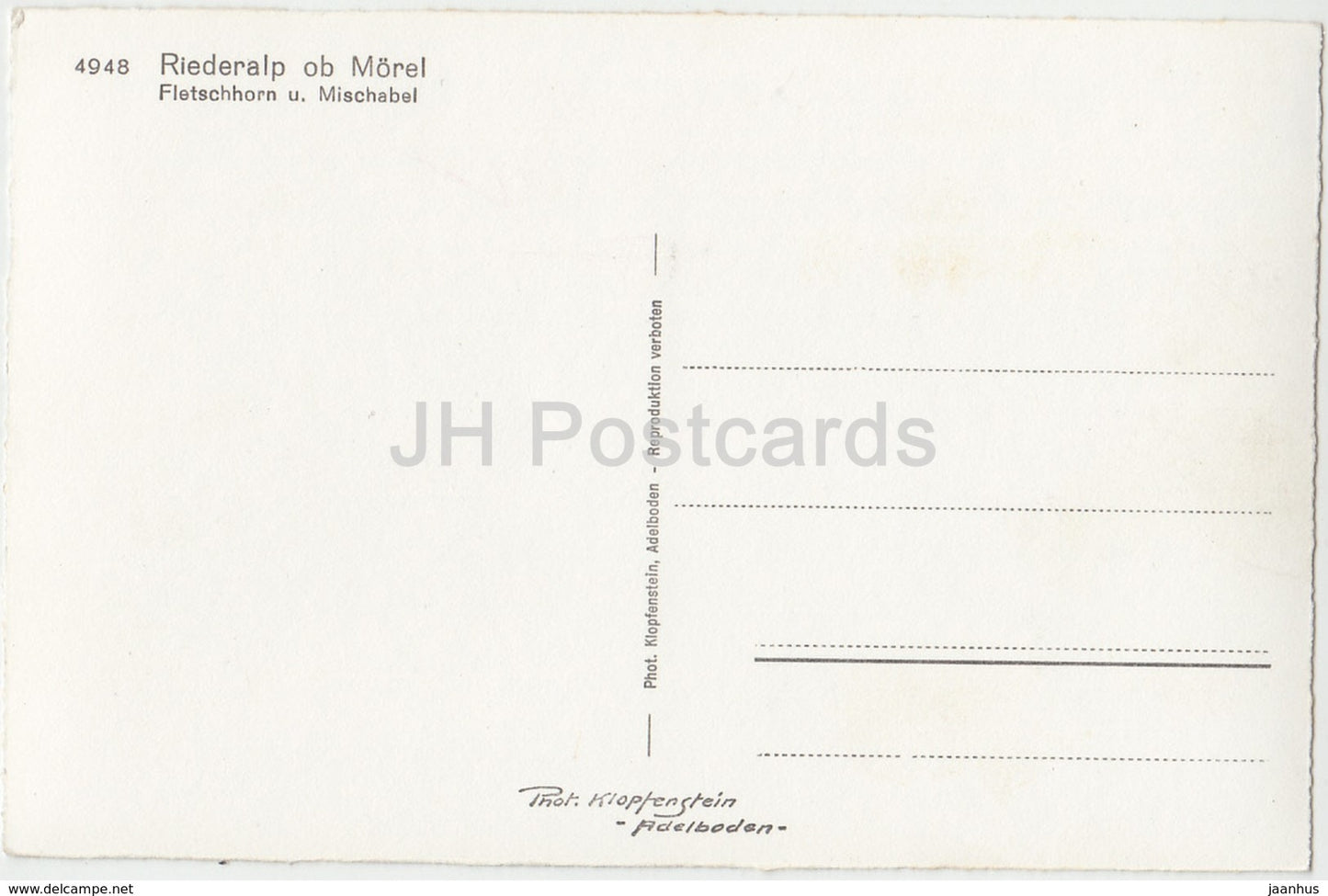 Riederalp ob Morel - Fletschhorn u. Mischabel - cow - 4948 - Switzerland - old postcard - unused