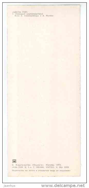 Cowslip - Primula macrocalyx - Mountain Flowers - 1973 - Russia USSR - unused - JH Postcards