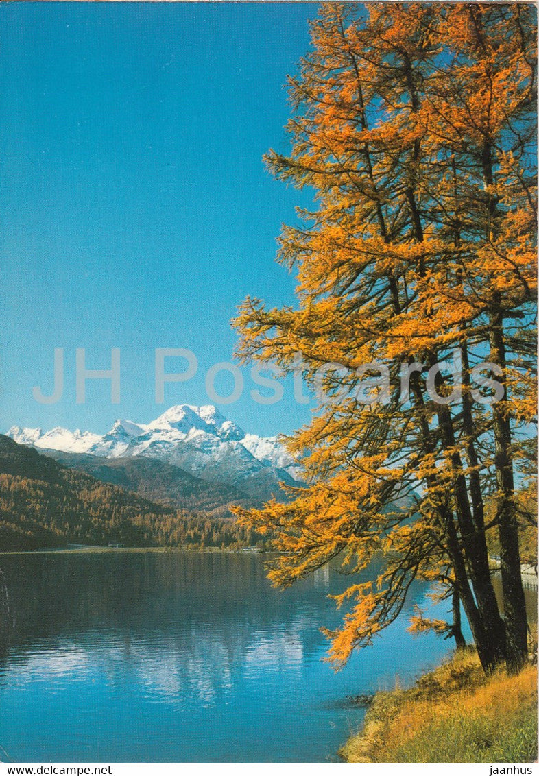Herbsttag am Silvaplanersee - 147 - 1978 - Switzerland - unused - JH Postcards