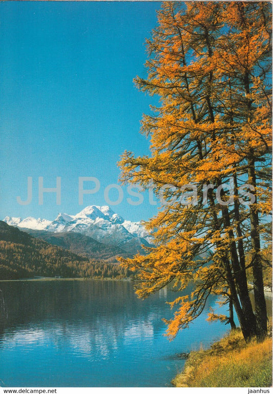 Herbsttag am Silvaplanersee - 147 - 1978 - Switzerland - unused - JH Postcards